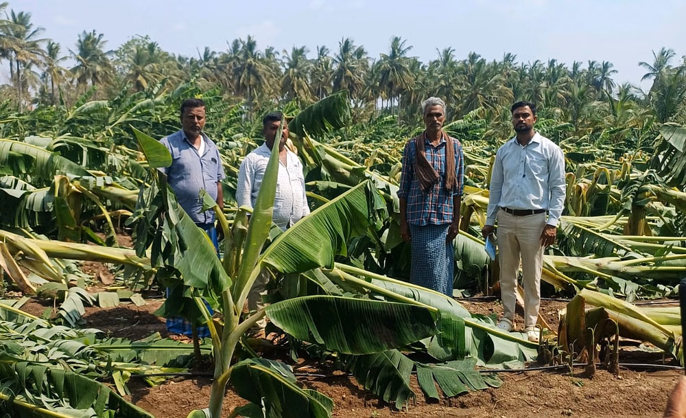 prajavani_2025-04-21_4tnmgplp_file80b0cu75j5e1vdttfxy